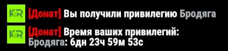Интерфейс просмотра оставшегося времени привилегии, пример 2