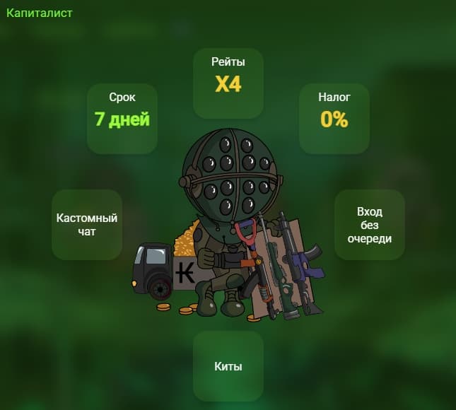 Срок действия привилегии в интерфейсе сайта Kapital Rust