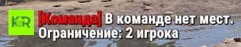 Проверка лимита игроков в команде Kapital Rust
