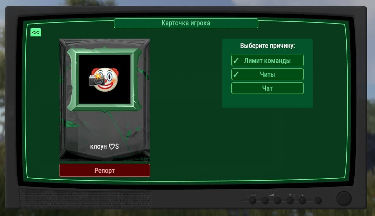 Карточка игрока и выбор причины репорта